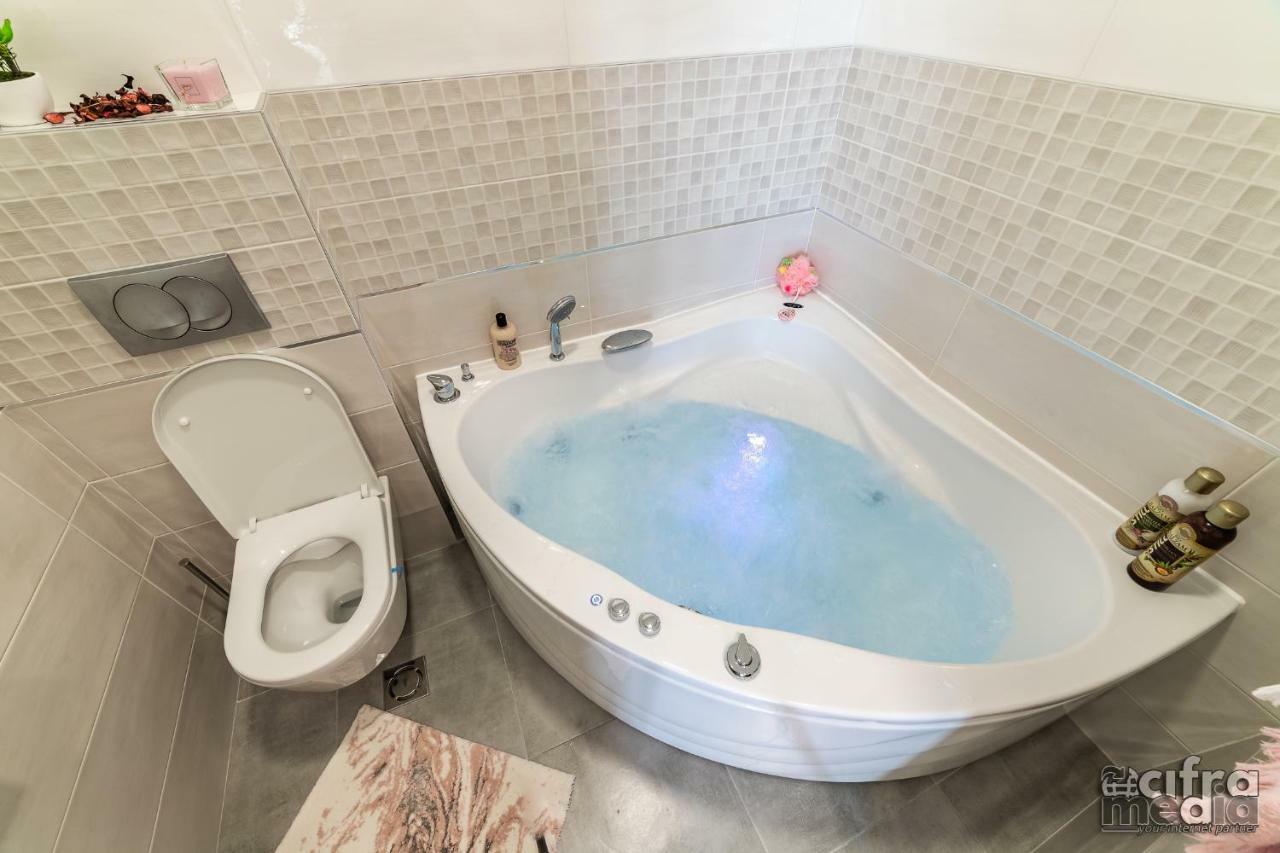 Apartmani Alexandar15 ノヴィ・サド エクステリア 写真