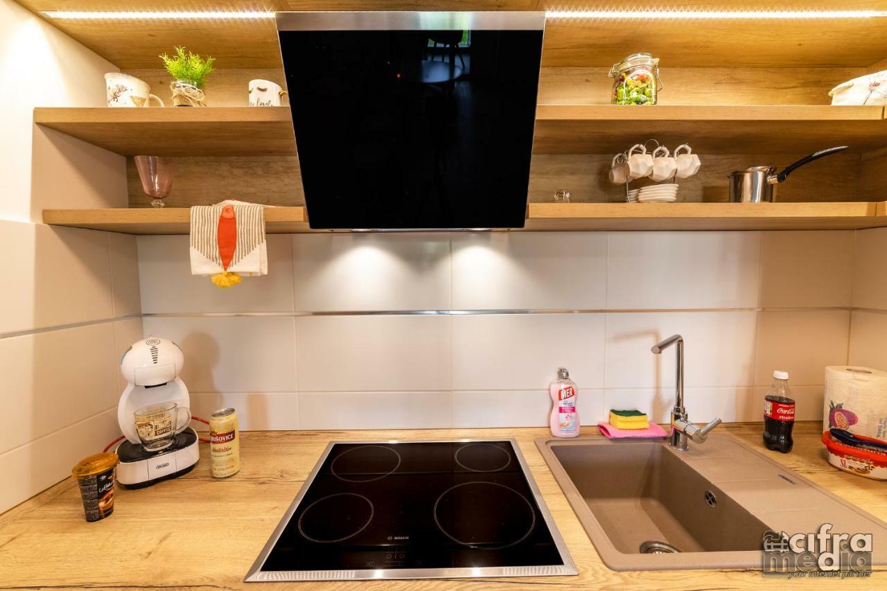 Apartmani Alexandar15 ノヴィ・サド エクステリア 写真