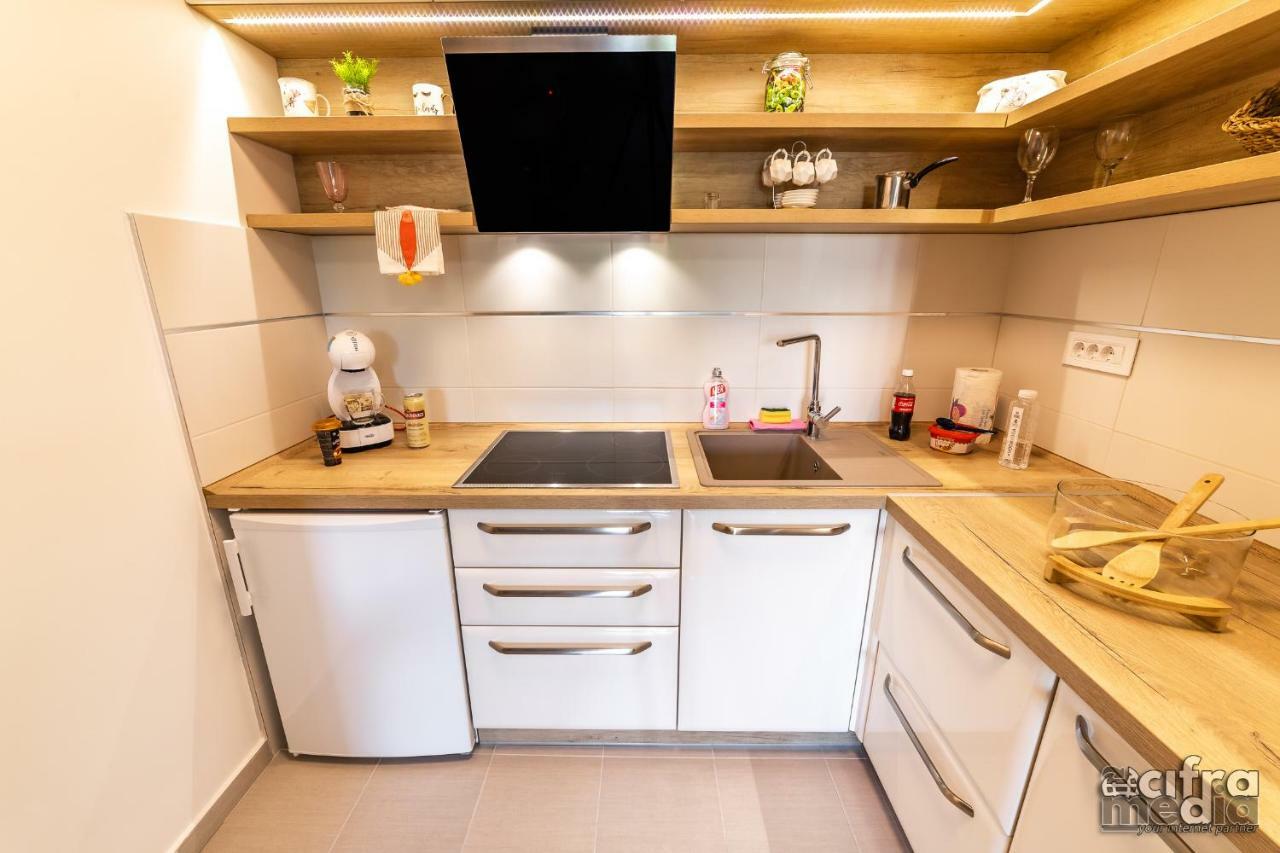 Apartmani Alexandar15 ノヴィ・サド エクステリア 写真